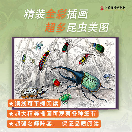 昆虫记 上下册（美绘精装版）青少科普、八年级推荐阅读、美绘精装、大语文、法布尔、科普、昆虫、诺贝尔文学奖提名 商品图1