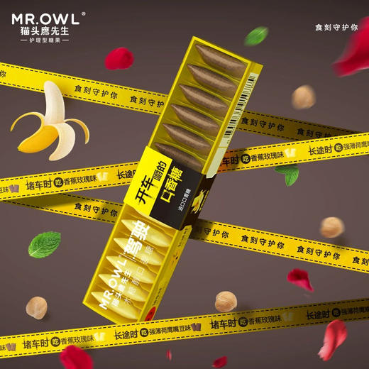 猫头鹰驾驶木糖醇口香糖 商品图0