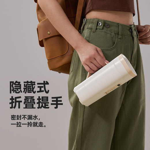 大宇可调温便携烧水杯烧水壶新年红D9 商品图3