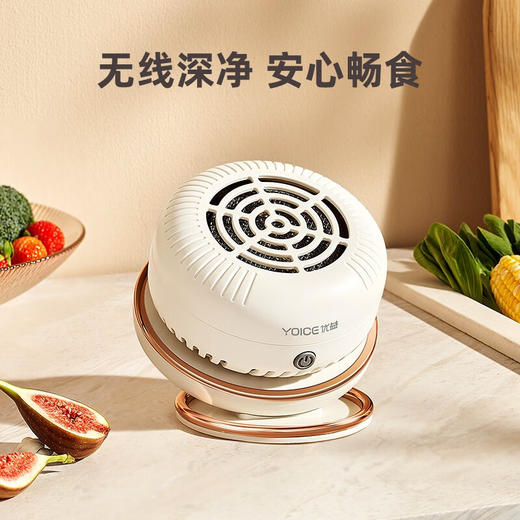优益果蔬清洗机/净化器Y-GSQX02
 商品图1