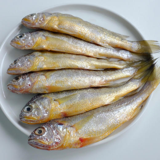 舟山野生小黄鱼 | 舟山本地雷达网海捕 肉质丰腴肥美 油脂丰厚鲜嫩 新鲜刺少 蒜瓣肉紧实有弹性 条条精选营养丰富 商品图3