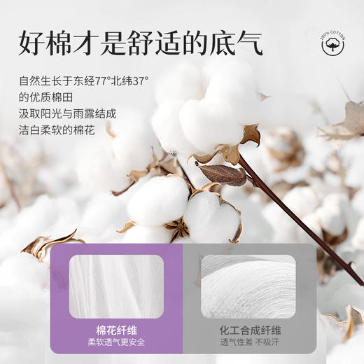 【无菌级】Freego「真高腰」7A抗菌纯棉一次性内裤女 「高腰党最爱」 商品图3