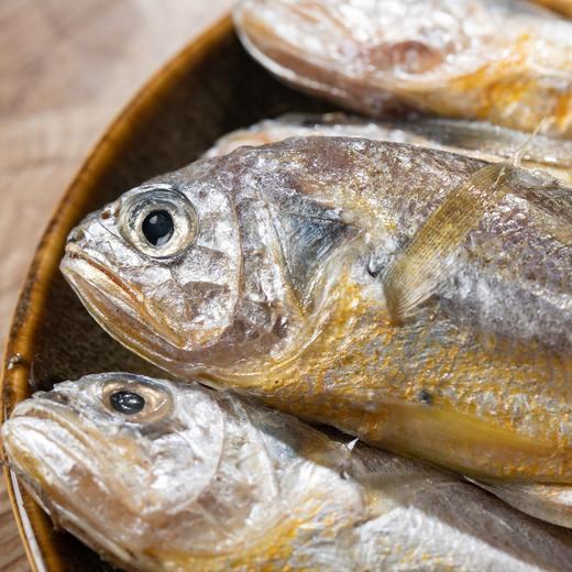 舟山野生小黄鱼 | 舟山本地雷达网海捕 肉质丰腴肥美 油脂丰厚鲜嫩 新鲜刺少 蒜瓣肉紧实有弹性 条条精选营养丰富 商品图1