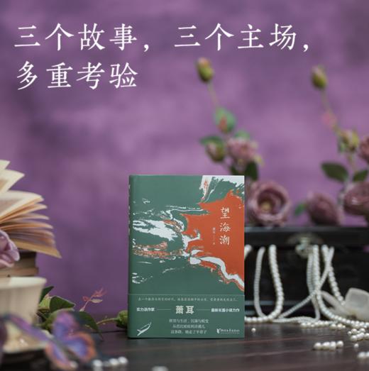 《望海潮》签名本 商品图1