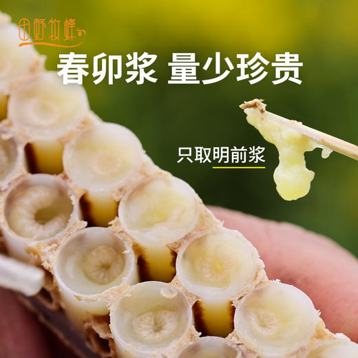 2025年早春头茬鲜王浆 高营养 高蛋白 40+人群推荐200g/瓶 商品图1