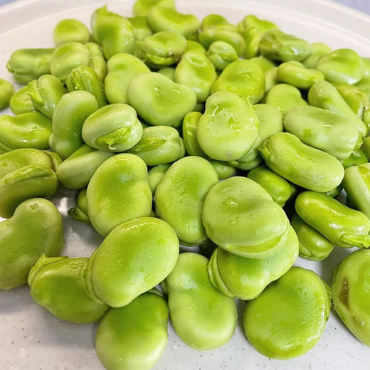 云南鲜蚕豆，带皮
蚕豆性平味甘，不温不燥
有益气健脾、利湿消肿的作用
尤其是春夏相交之际
湿气来袭，人容易没食欲、脾胃差
此时最适合吃点蚕豆
有助缓解这些小问题
2斤/份 商品图1