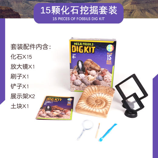  DIG KIT儿童考古挖掘玩具十五颗化石套装 | 国家地理同款、简单好挖、不伤手、培养孩子专注力、观察力 商品图1