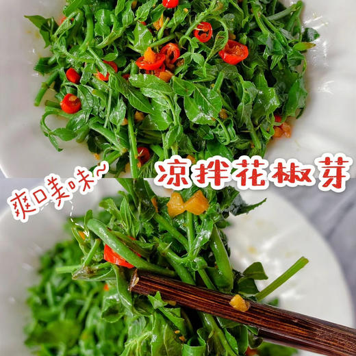 时令菜花椒芽！花椒树发芽期幼嫩的芽叶，油亮鲜绿，麻香味美，是芽苗菜中的珍品，因经过热炒、凉拌、油炸、涮锅后，品尝起来麻香宜人，开胃爽口，具有独特风味和丰富营养！京郊农家院的必点菜之一！250克/份 商品图3