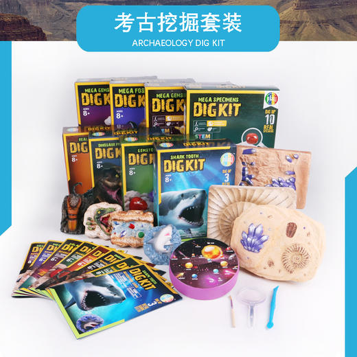 DIG KIT儿童考古玩具鲨鱼套装 | 国家地理同款、简单好挖、不伤手、培养孩子专注力、观察力 商品图5