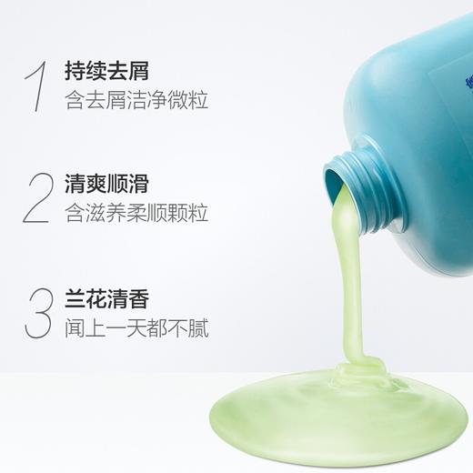 飘柔家庭护理兰花长效洁顺水润洗发露1L 商品图2