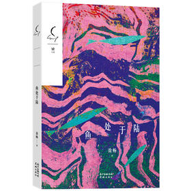 鱼处于陆 徐畅著 锐小说第4辑 短篇小说集畅销文学 花城出版社