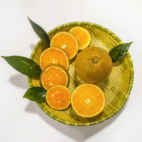 采购下架【助农】山水龙城2024秭归橙子新品黑美人棕橙净重9斤中果（30个内）