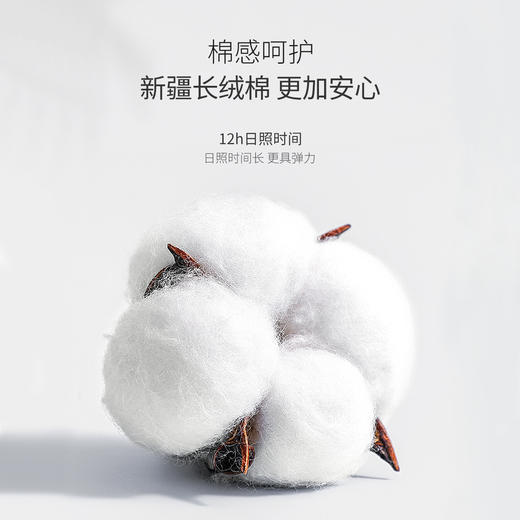 洁丽雅4条装中腰纯棉女士内裤甜美可爱印花小清新纯棉内裆内裤女 商品图8