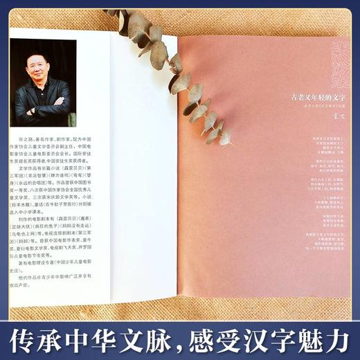 汉字奇兵（内含彩色插图、学校书单推荐） 著名诗人金波为《汉字奇兵》倾情题诗。巧妙地把文字的基本知识融入其中，引导青少年读者了解中国文化，热爱中国文化。 商品图3