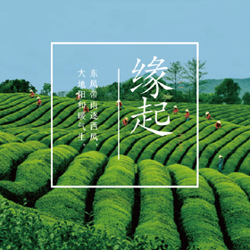  永川秀芽 | 何为一杯好茶？ 