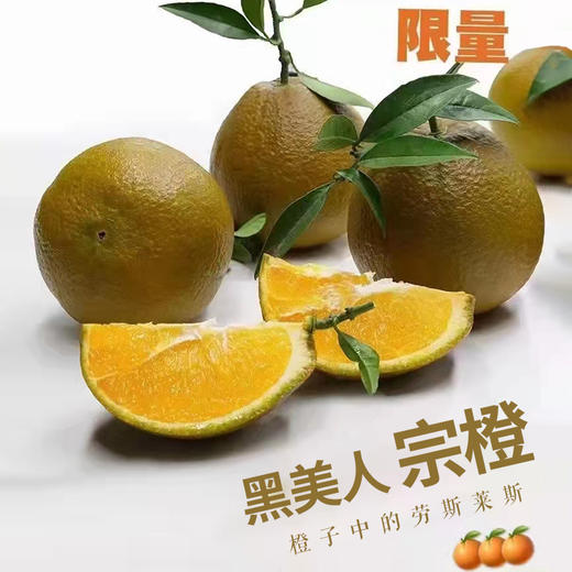 采购下架【助农】山水龙城2024秭归橙子新品黑美人棕橙净重9斤中果（30个内） 商品图4