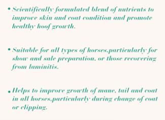 护蹄亮毛营养素丨添加剂 商品图2