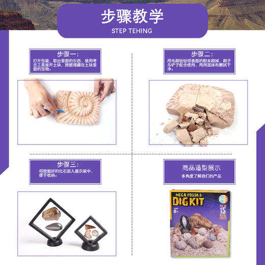  DIG KIT儿童考古挖掘玩具十五颗化石套装 | 国家地理同款、简单好挖、不伤手、培养孩子专注力、观察力 商品图4