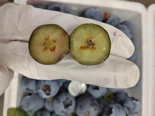 云南 L25 蓝莓【脆甜】大1件 商品图0