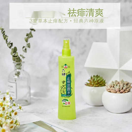 六神喷雾止痒花露水180ml*2瓶 商品图2