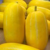 【直播钜惠】新鲜水果  黄金蜜瓜1-1.2斤/个 商品缩略图3