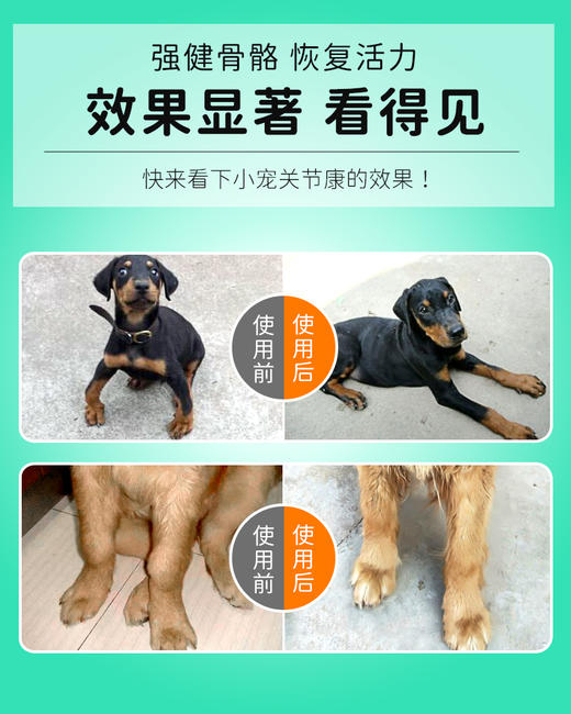 小宠关节康5gX10包  关节保健 商品图2