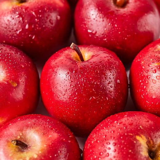 新西兰乐淇苹果（700克左右） 商品图0