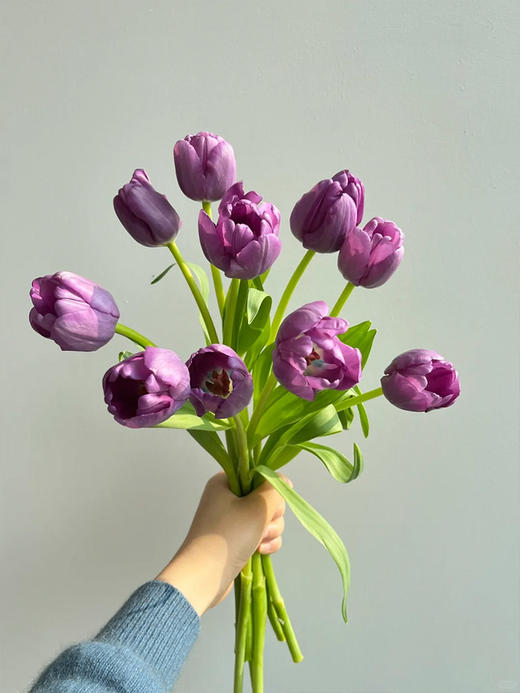 方德迷雾紫色郁金香9支 商品图0