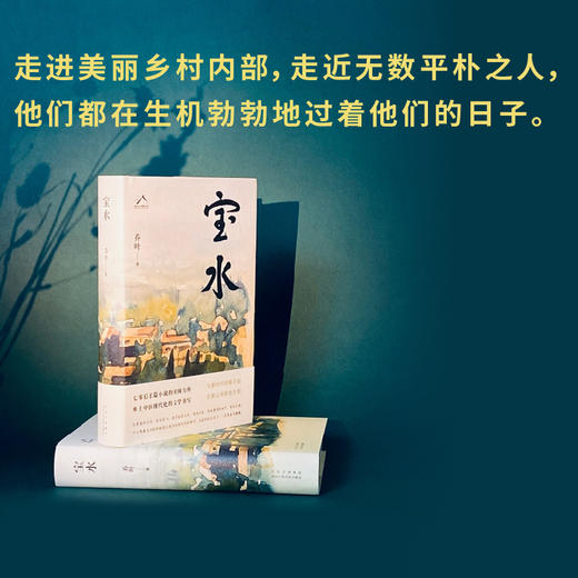 乔叶《宝水》亲笔签名书 商品图2