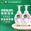 滴露（Dettol）泡沫抑菌洗手液花香型250ml*2 商品缩略图0