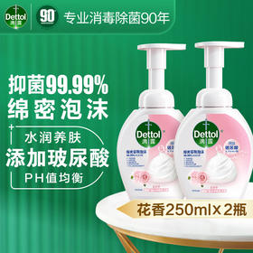 滴露（Dettol）泡沫抑菌洗手液花香型250ml*2