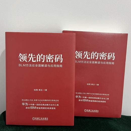 官网 领先的密码 BLM方法论全面解读与应用指南 柏翔 佛洁 创新管理 blm核心方法体系与企业实践的系统总结 企业经营管理学书籍 商品图1