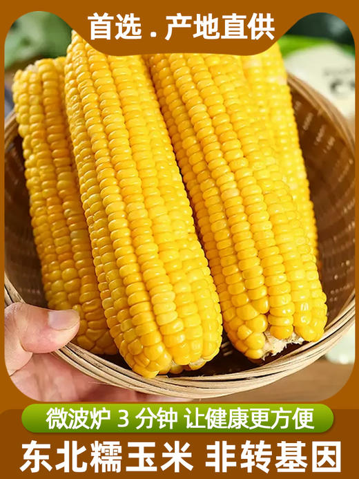糯氏东北黄糯玉米棒新鲜糯玉米真空包装粘玉米非转基因早餐代餐玉米棒   250g/根 商品图7