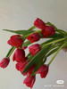 国产郁金香-【法国红】高级红 商品缩略图0