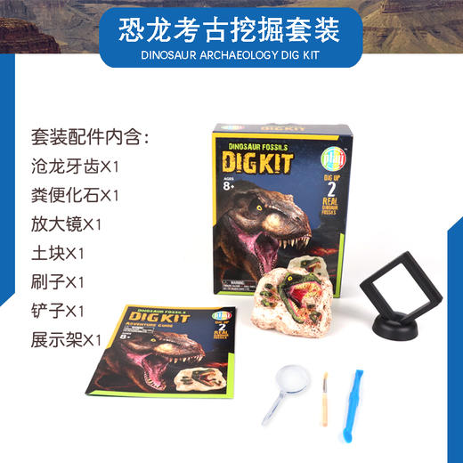 DIG KIT儿童考古玩具恐龙套装 | 国家地理同款、简单好挖、不伤手、培养孩子专注力、动手能力 商品图1