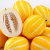 新鲜水果  黄金蜜瓜1-1.2斤/个 商品缩略图0