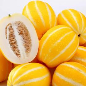新鲜水果  黄金蜜瓜1-1.2斤/个