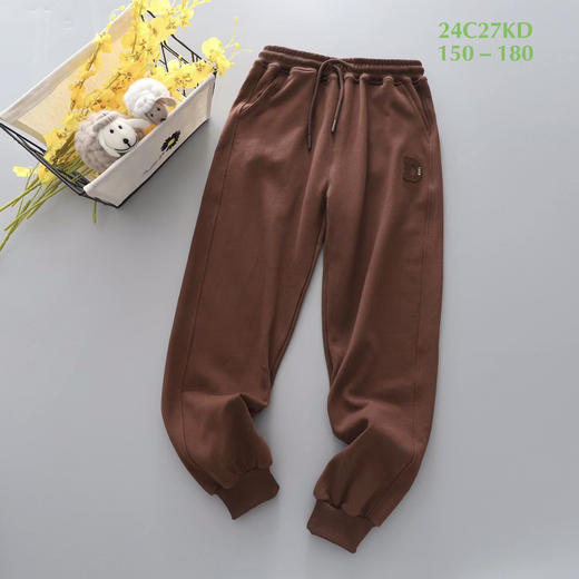 【3月22日 下午15:30 青少卫衣 卫裤 秒杀】大毛圈 高克重 卫衣 卫裤多色 150-180码 商品图1