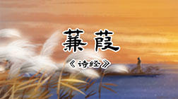 46、蒹葭 商品图0