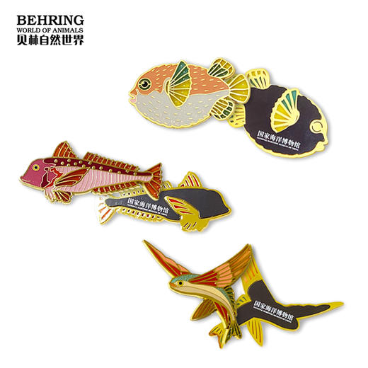 神奇海洋动物系列盲盒 商品图2