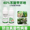 40%苯醚甲环唑悬浮剂广信老牌子正牌香蕉叶斑病正品农用杀菌剂 商品缩略图1