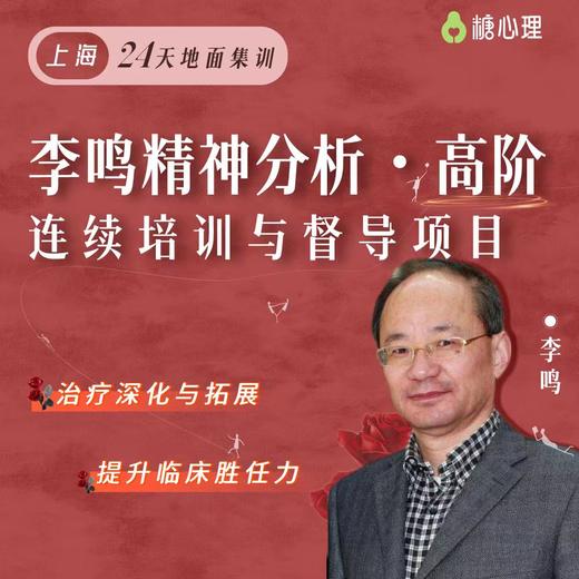 【24天地面集训】李鸣精神分析•高阶 商品图0