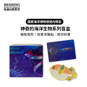 神奇海洋动物系列盲盒