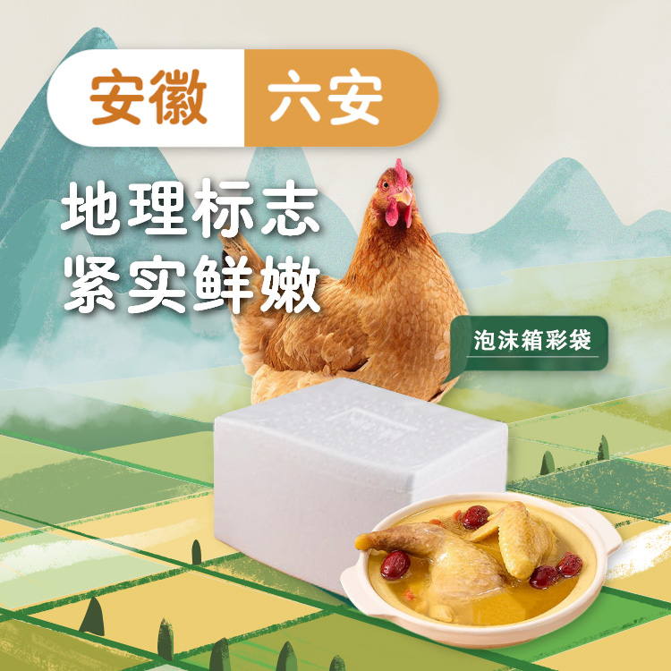 【百食轩】散养皖西走地麻黄鸡·黄油老母鸡1.25kg-1.5kg/只