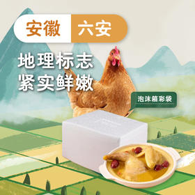 【百食轩】散养皖西走地麻黄鸡·黄油老母鸡1.25kg-1.5kg/只