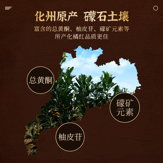 英贝健化州橘红 40g/盒 商品图2