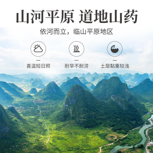 方家铺子 山药250g/瓶装 商品图6