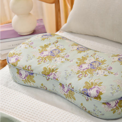 法式玫瑰系列曲线枕荞麦壳枕头护颈椎病荞麦皮睡眠四季 商品图3