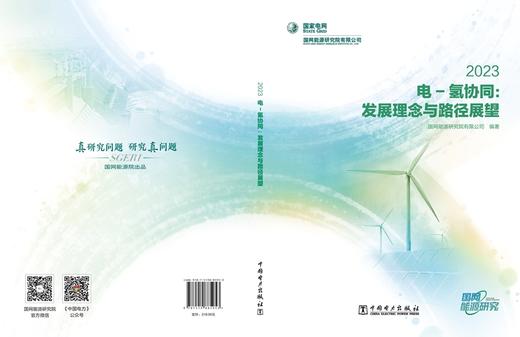 电-氢协同：发展理念与路径展望 2023 商品图2