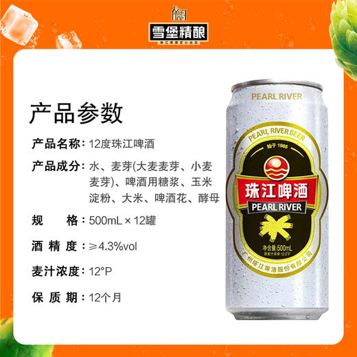 「汪苏泷代言」珠江啤酒经典老珠江500ml*12国产啤酒整箱罐装啤酒易拉罐 商品图2